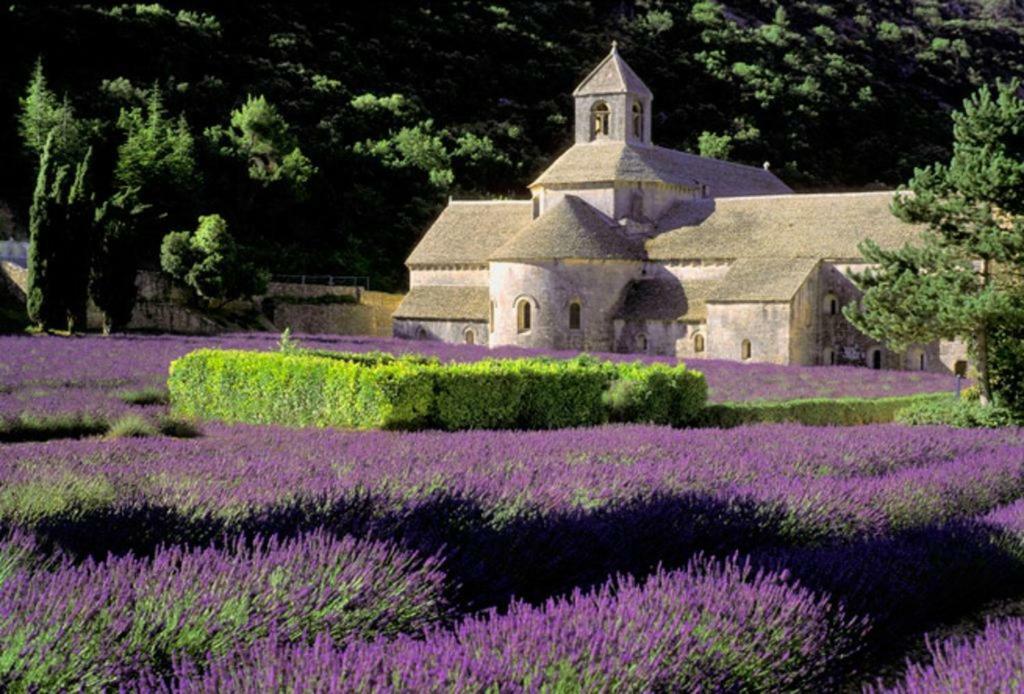 Au Bastidon De Gordes Villa Exterior photo